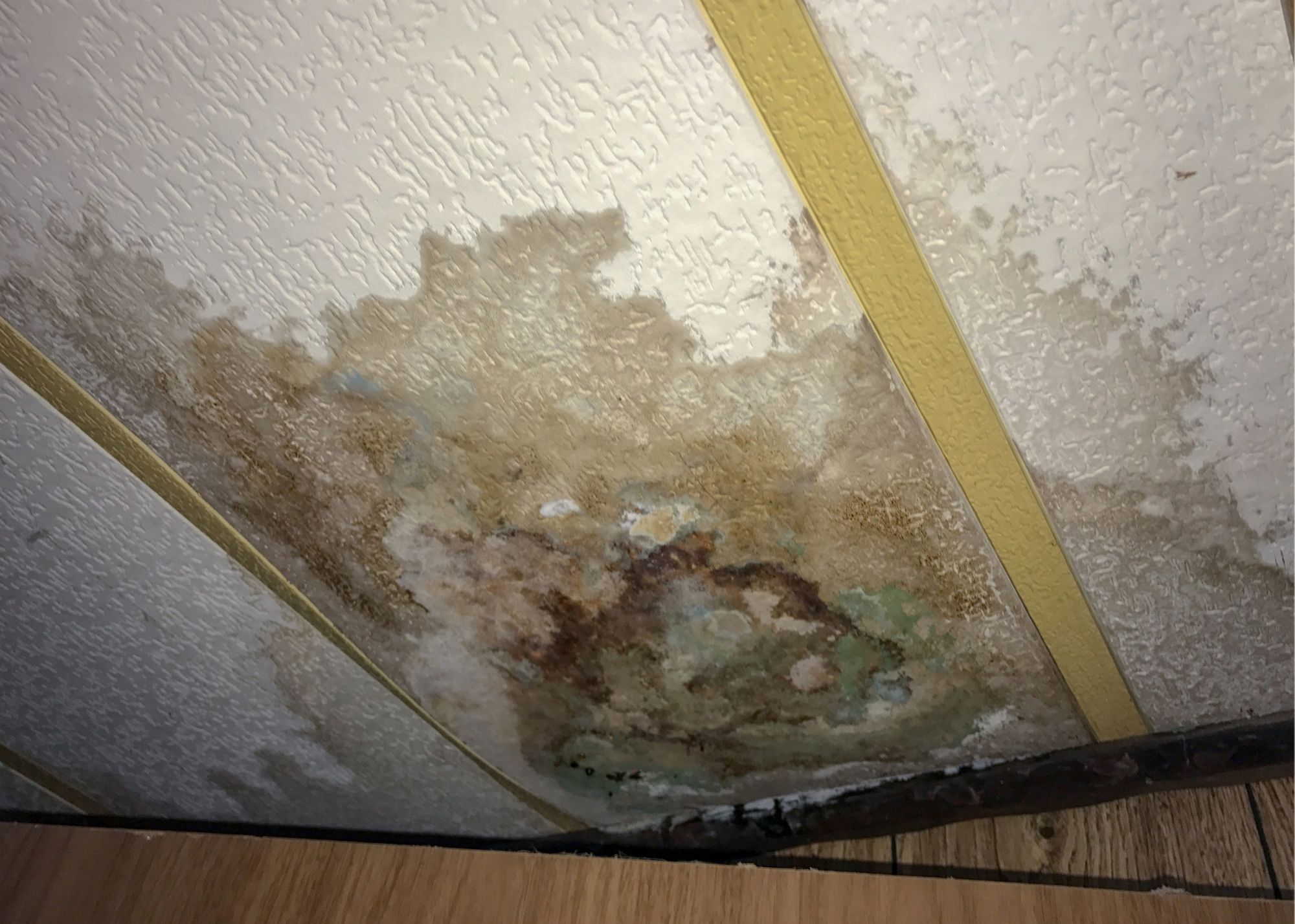 A ceiling water stain in a Heartwood Village home in Edgewater, FL