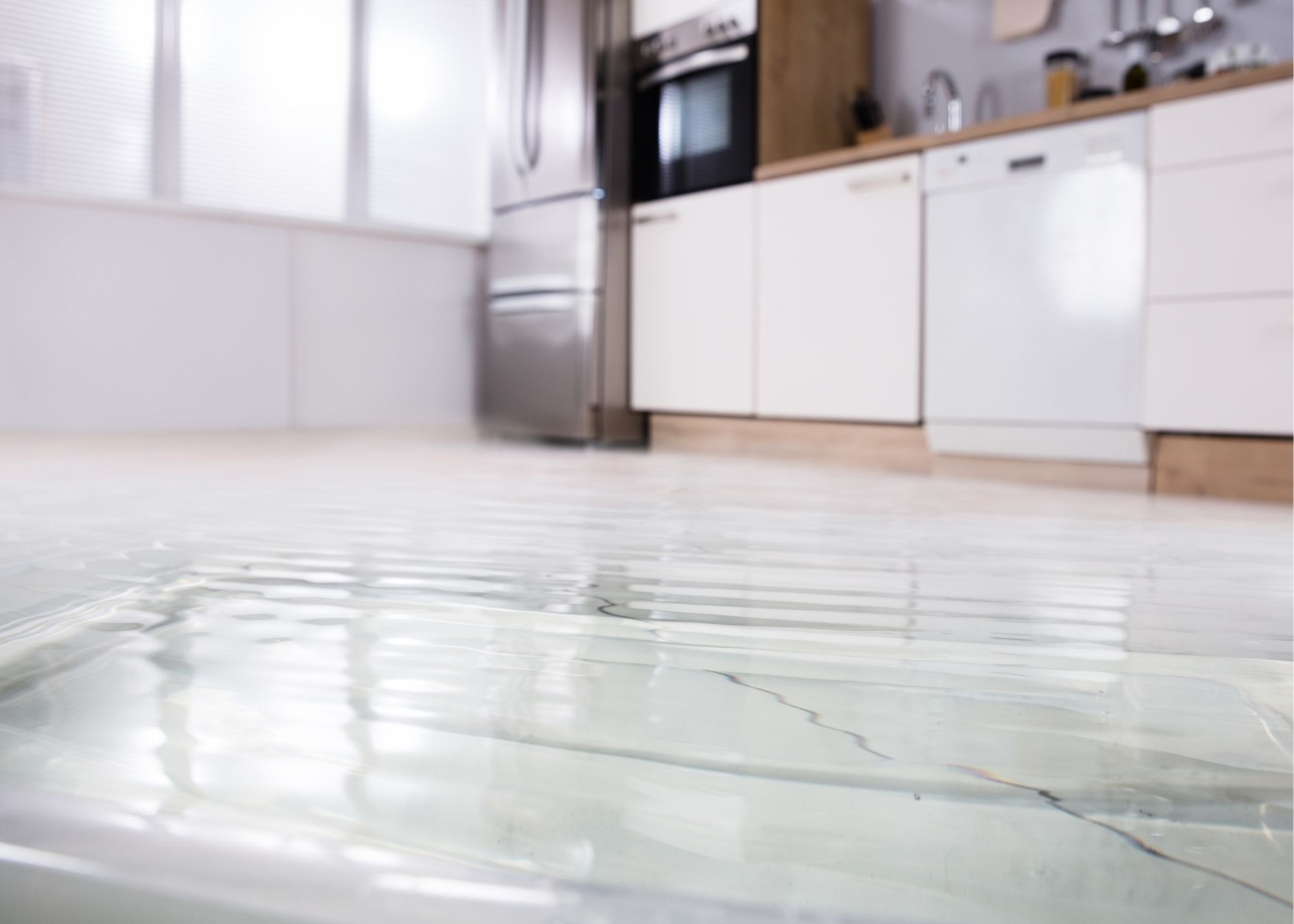 Kitchen fire cleanup with grease residue on cabinets in an Edgewater, FL home