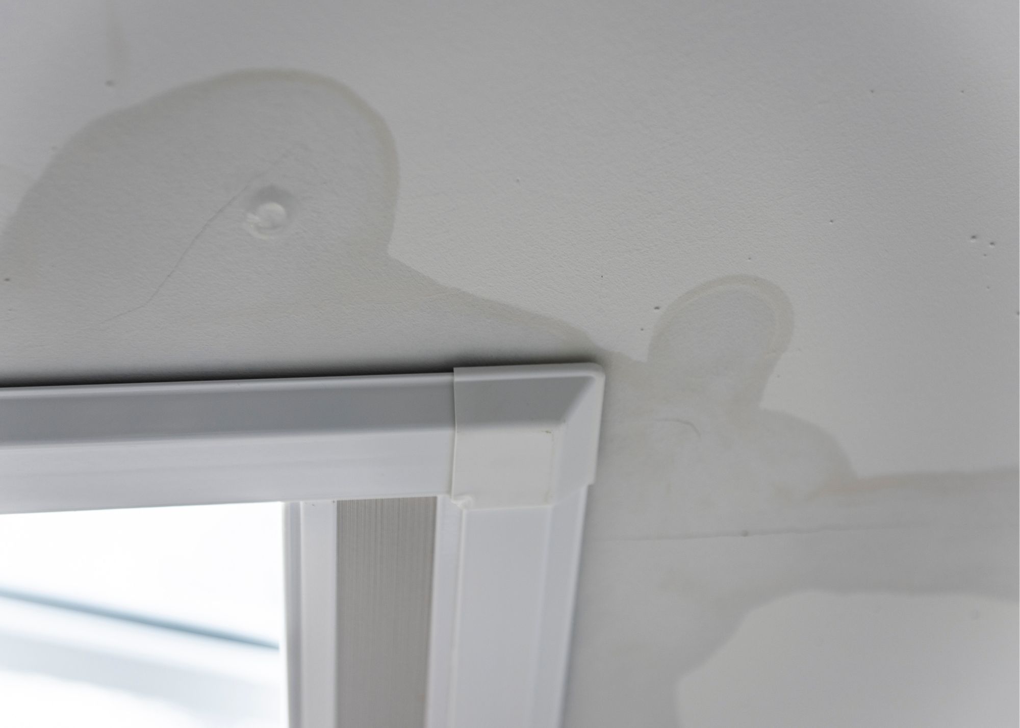 Mold and moisture staining on a bathroom ceiling in an Edgewater, FL home